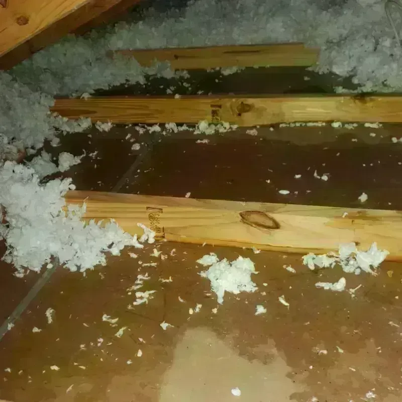 Attic Water Damage in Midland Park, NJ